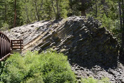 DSC_3664 (Large).JPG